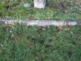 image of grave number 266031
